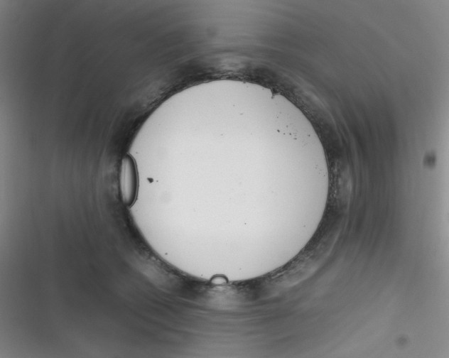 X0000116820562201001081419