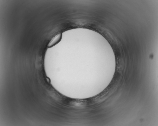 X0000116820563201001081419