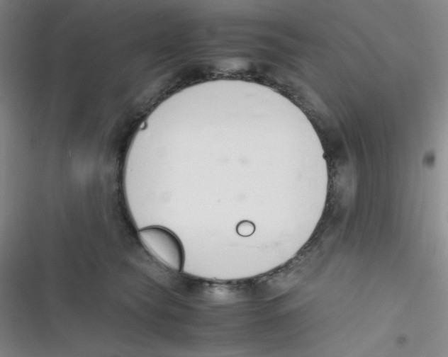 X0000116820565201001081419