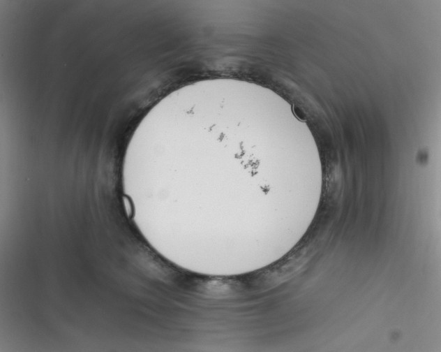 X0000116820566201001081419