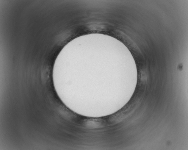 X0000116820567201001081419