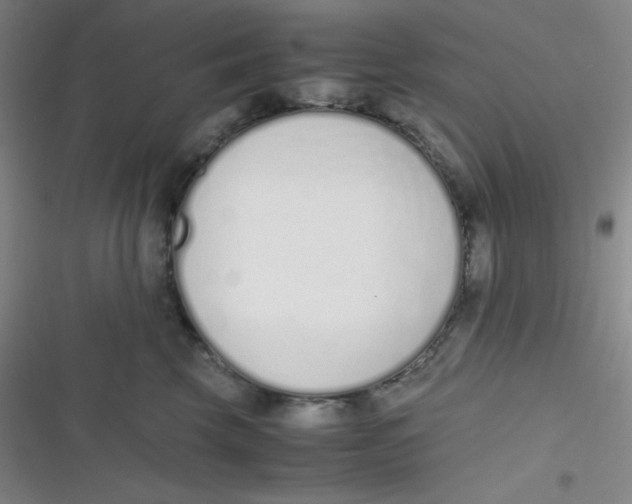 X0000116820569201001081419