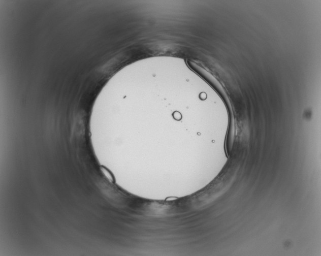 X0000116820570201001081419