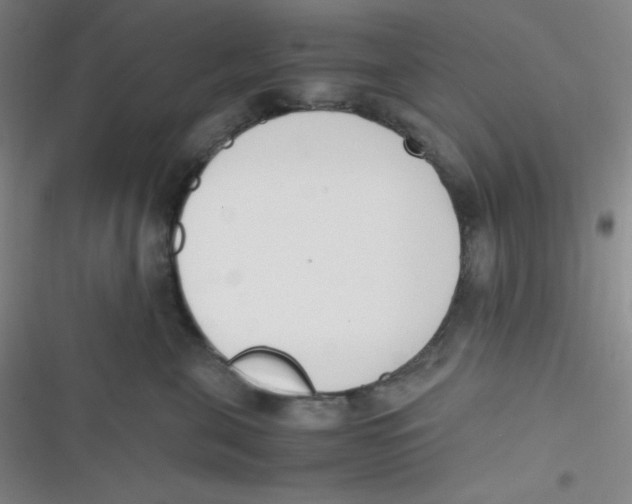 X0000116820571201001081419