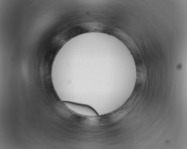 X0000116820573201001081419