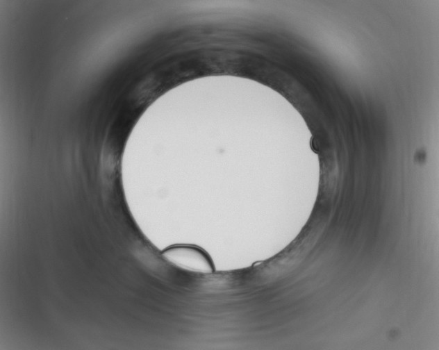 X0000116820574201001081419