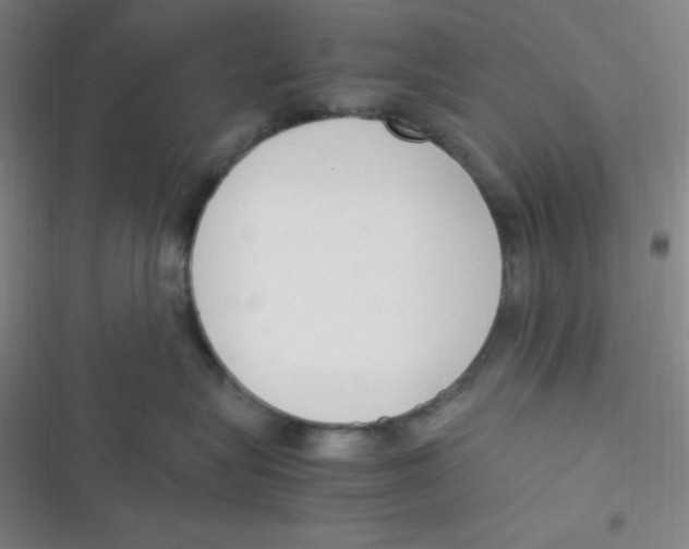 X0000116820575201001081419