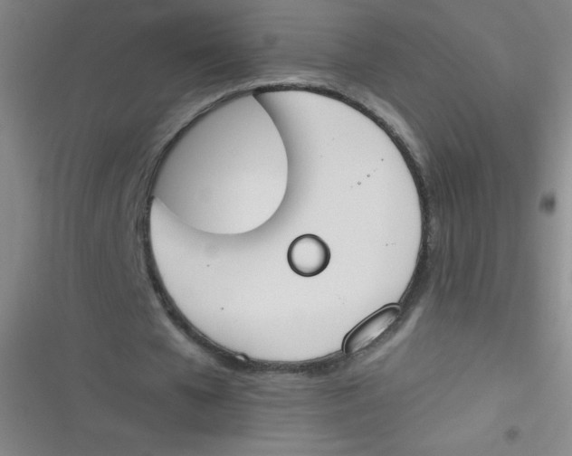 X0000116820577201001081419