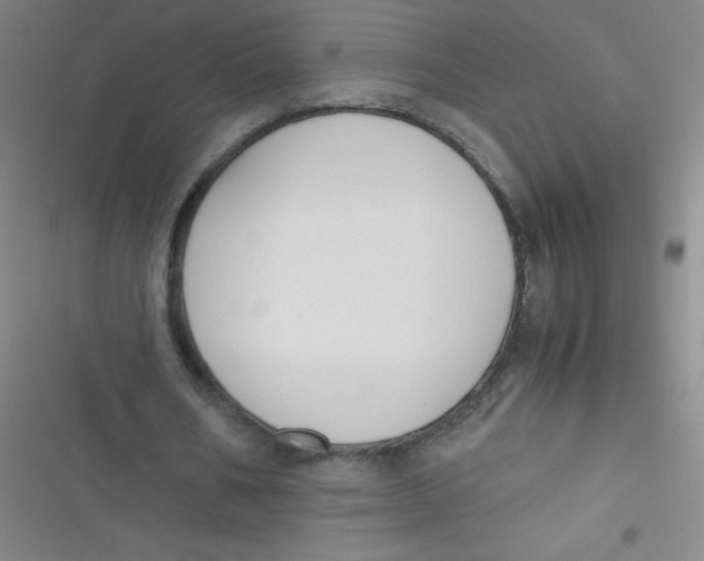 X0000116820578201001081419