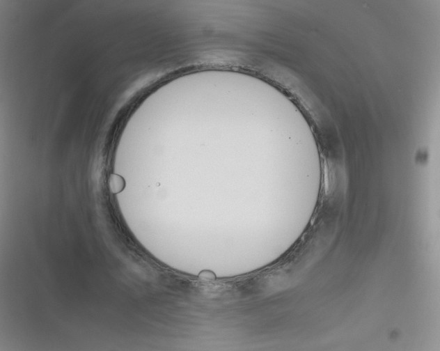 X0000116820579201001081419