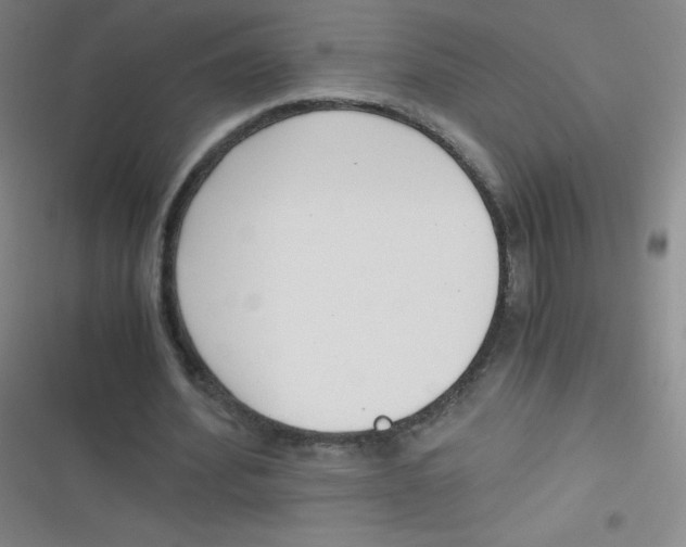 X0000116820580201001081418