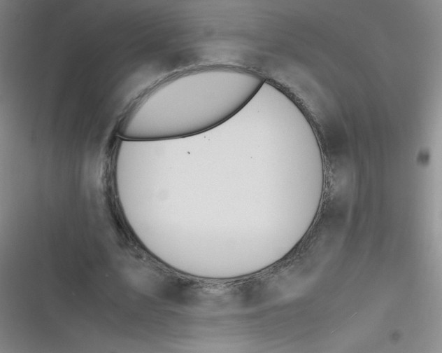 X0000116820583201001081418