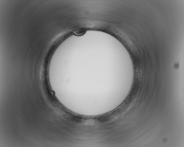 X0000116820587201001081418