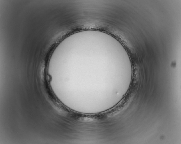 X0000116820590201001081418