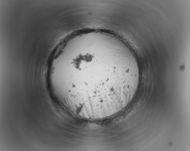 X0000116820592201001081418