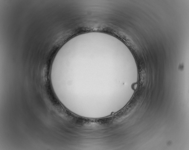 X0000116820594201001081418