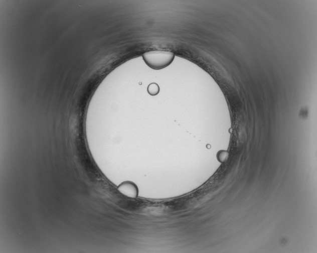 X0000116820595201001081418