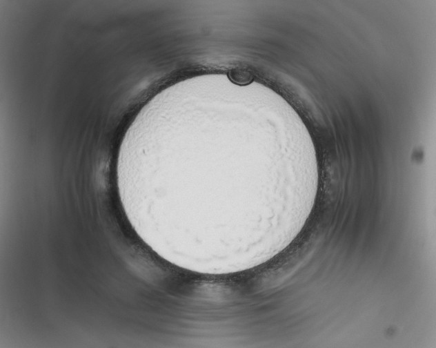 X0000116820596201001081418