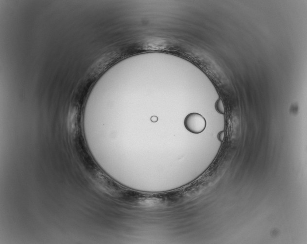 X0000116820598201001081418