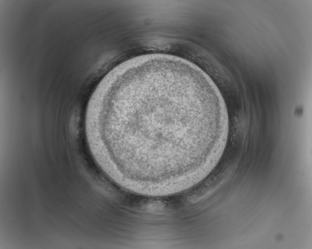 X0000116820600201001081418