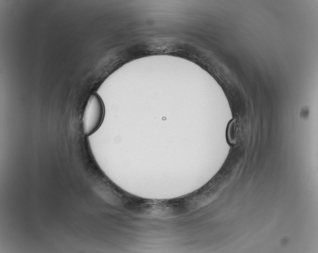 X0000116820601201001081418