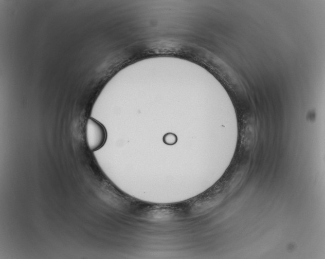 X0000116820604201001081418