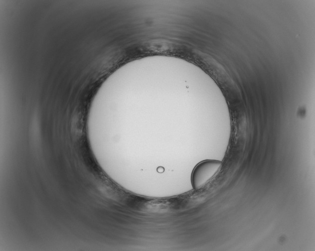 X0000116820606201001081418