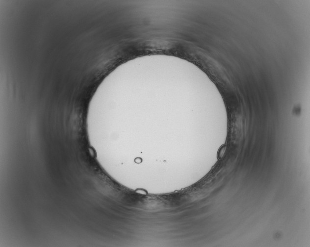 X0000116820608201001081418