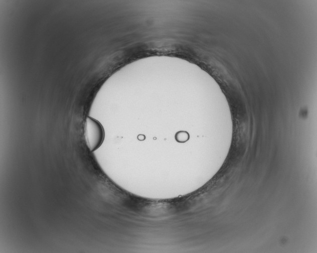 X0000116820609201001081418