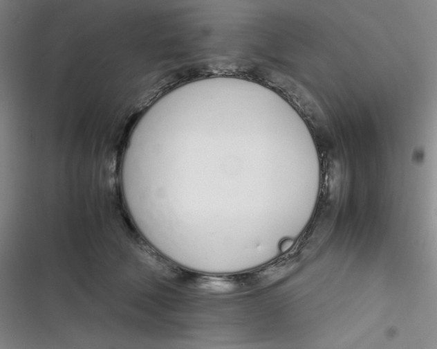 X0000116820610201001081418