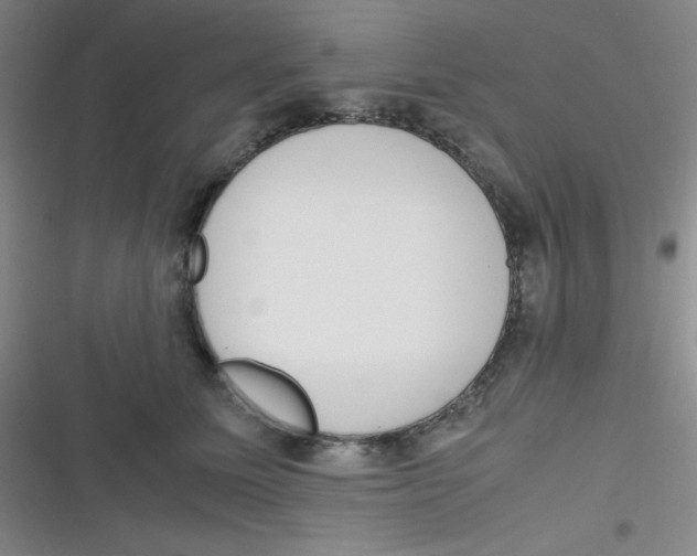 X0000116820611201001081418