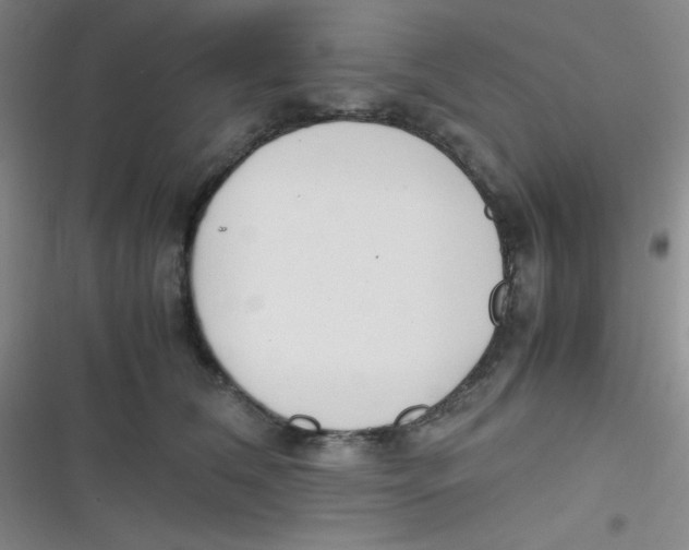 X0000116820612201001081418