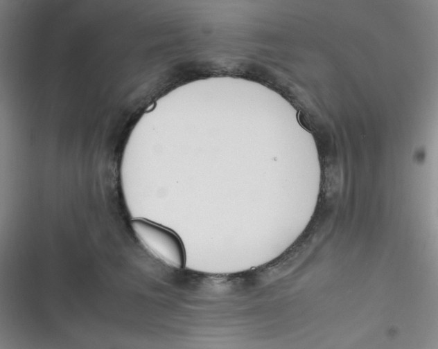 X0000116820613201001081418