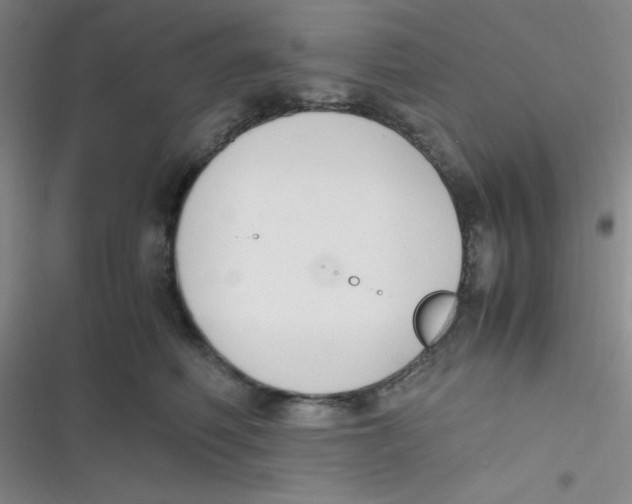 X0000116820614201001081418