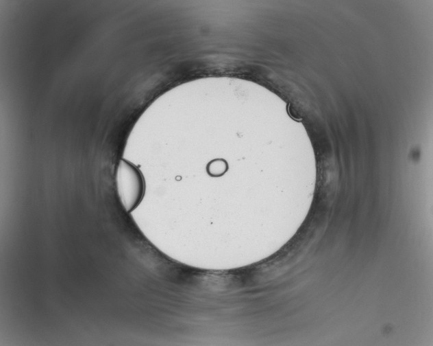 X0000116820615201001081418