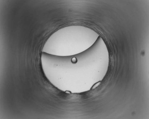 X0000116820617201001081418