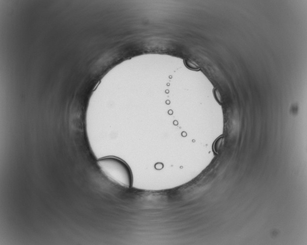 X0000116820619201001081418