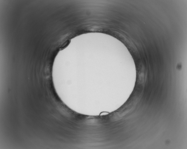 X0000116820620201001081418