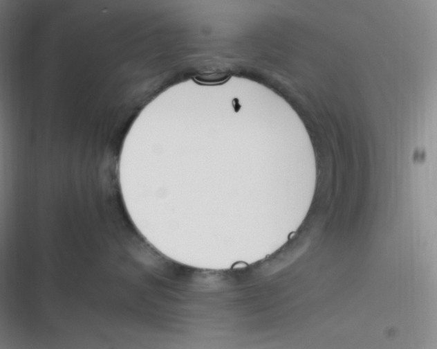 X0000116820624201001081418