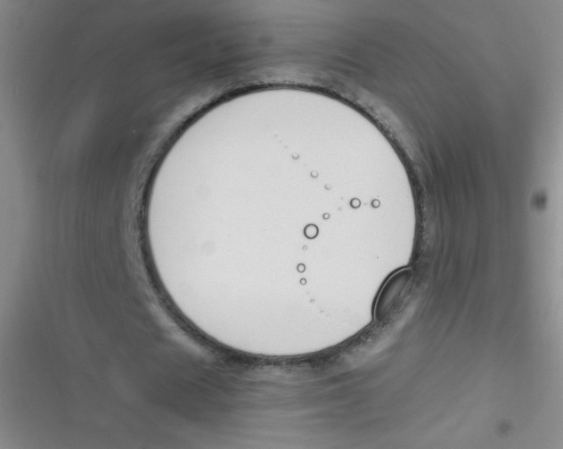 X0000116820625201001081417