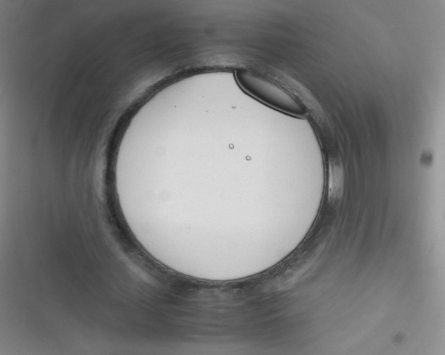 X0000116820627201001081417