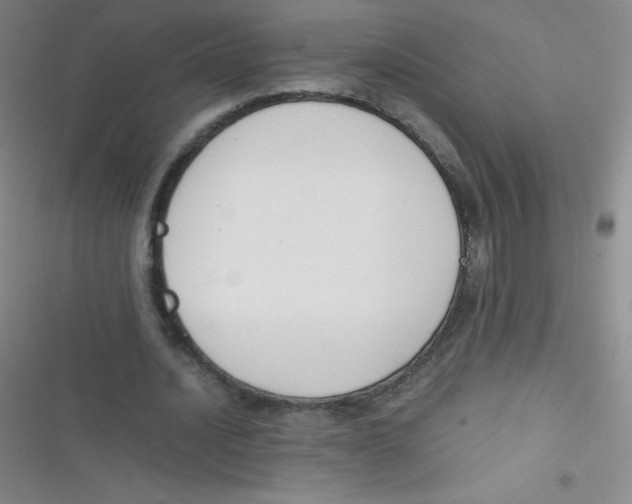 X0000116820628201001081417