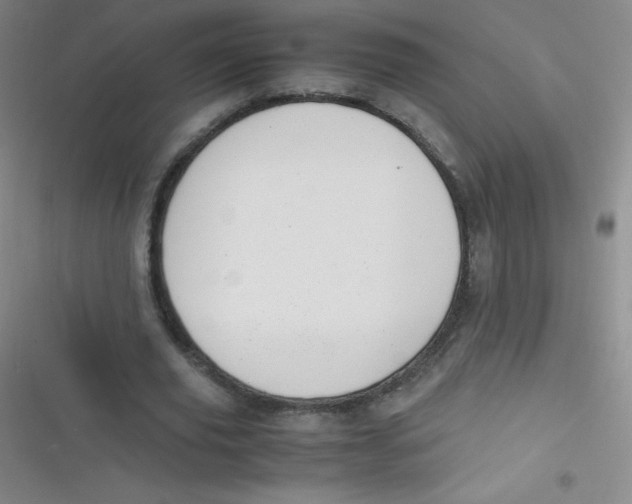 X0000116820629201001081417