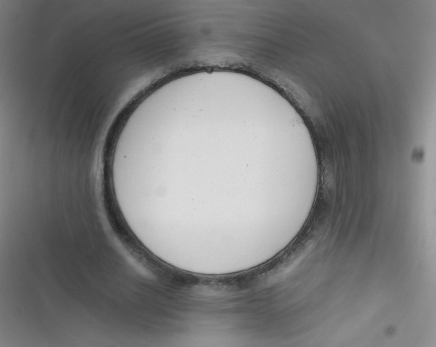 X0000116820630201001081417