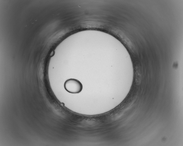 X0000116820631201001081417