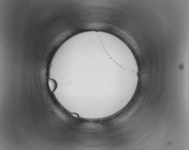 X0000116820633201001081417