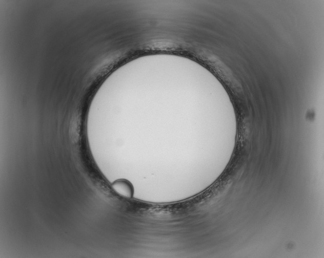 X0000116820640201001081417