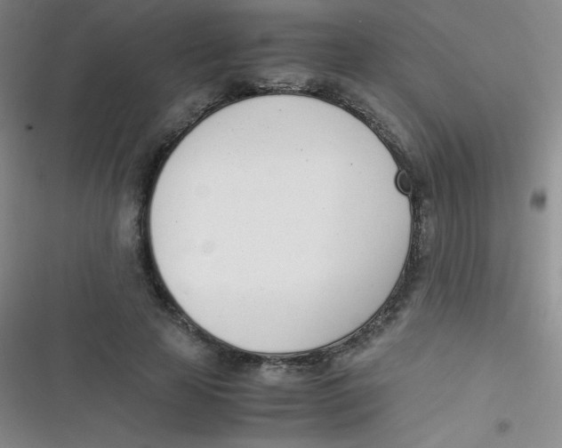 X0000116820641201001081417