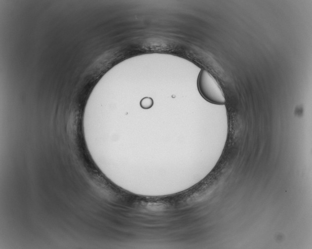 X0000116820645201001081418