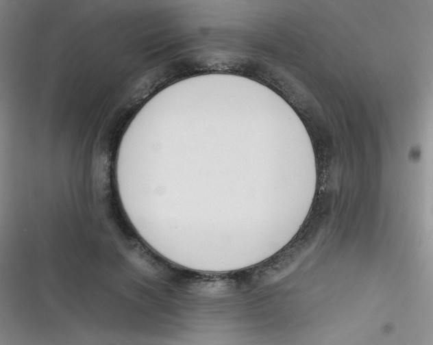 X0000116820646201001081418